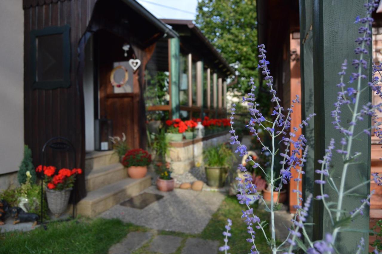 Penzion Pod Rozhlednou Janov Exterior foto
