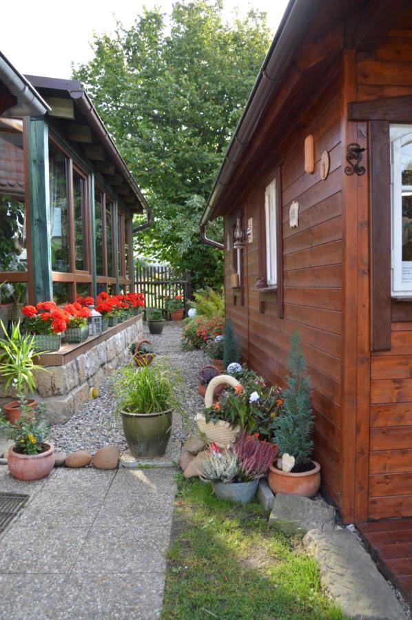 Penzion Pod Rozhlednou Janov Exterior foto